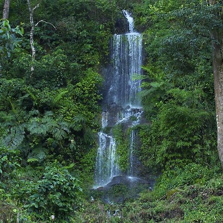 Madhumanthra Resort - Homestay Munnar Exteriör bild