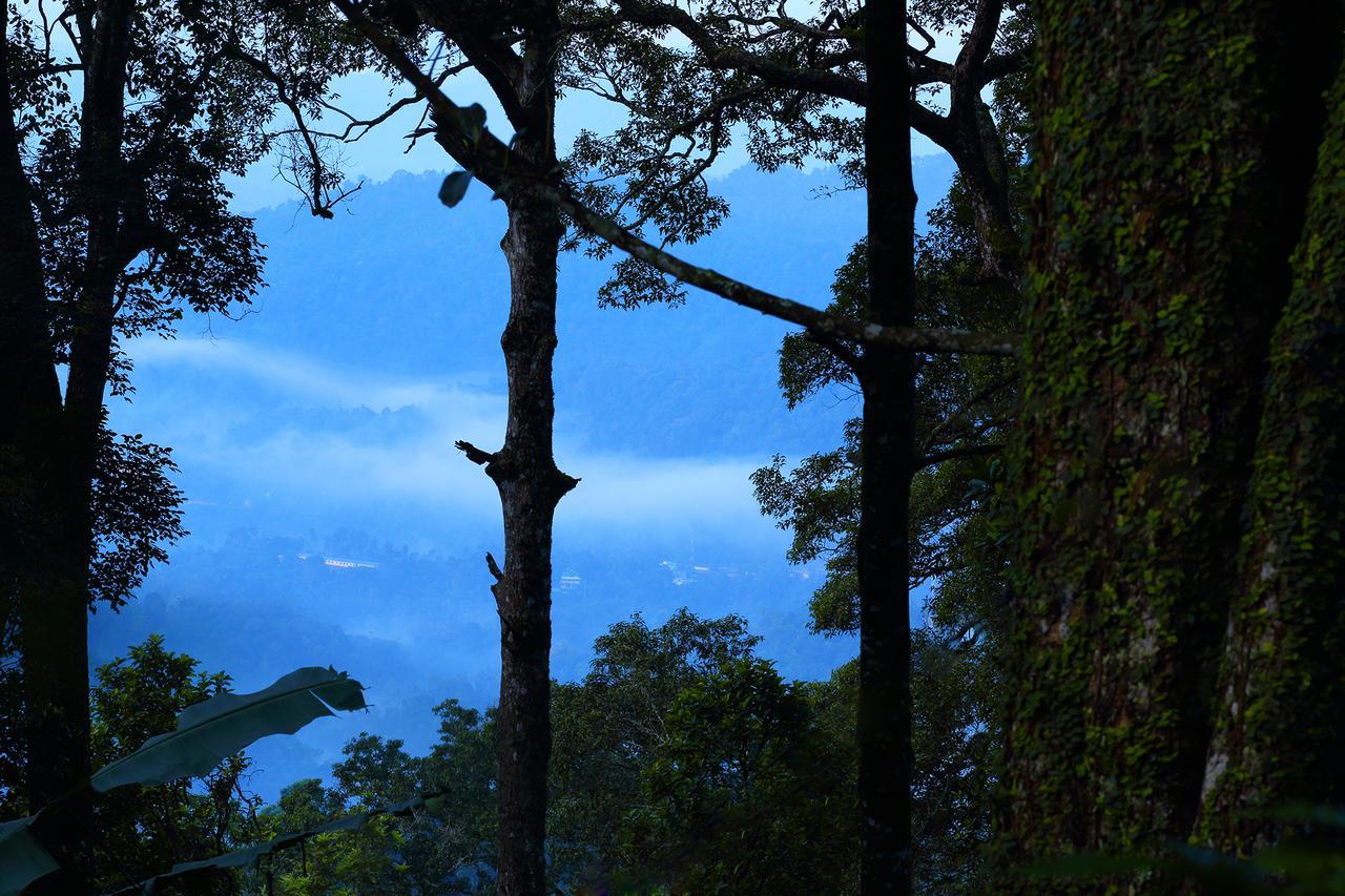 Madhumanthra Resort - Homestay Munnar Exteriör bild