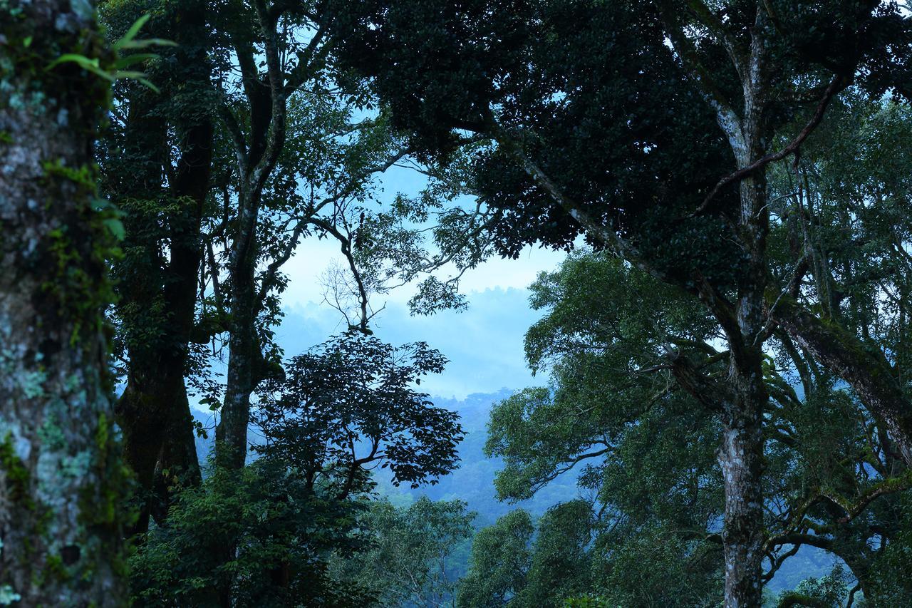 Madhumanthra Resort - Homestay Munnar Exteriör bild
