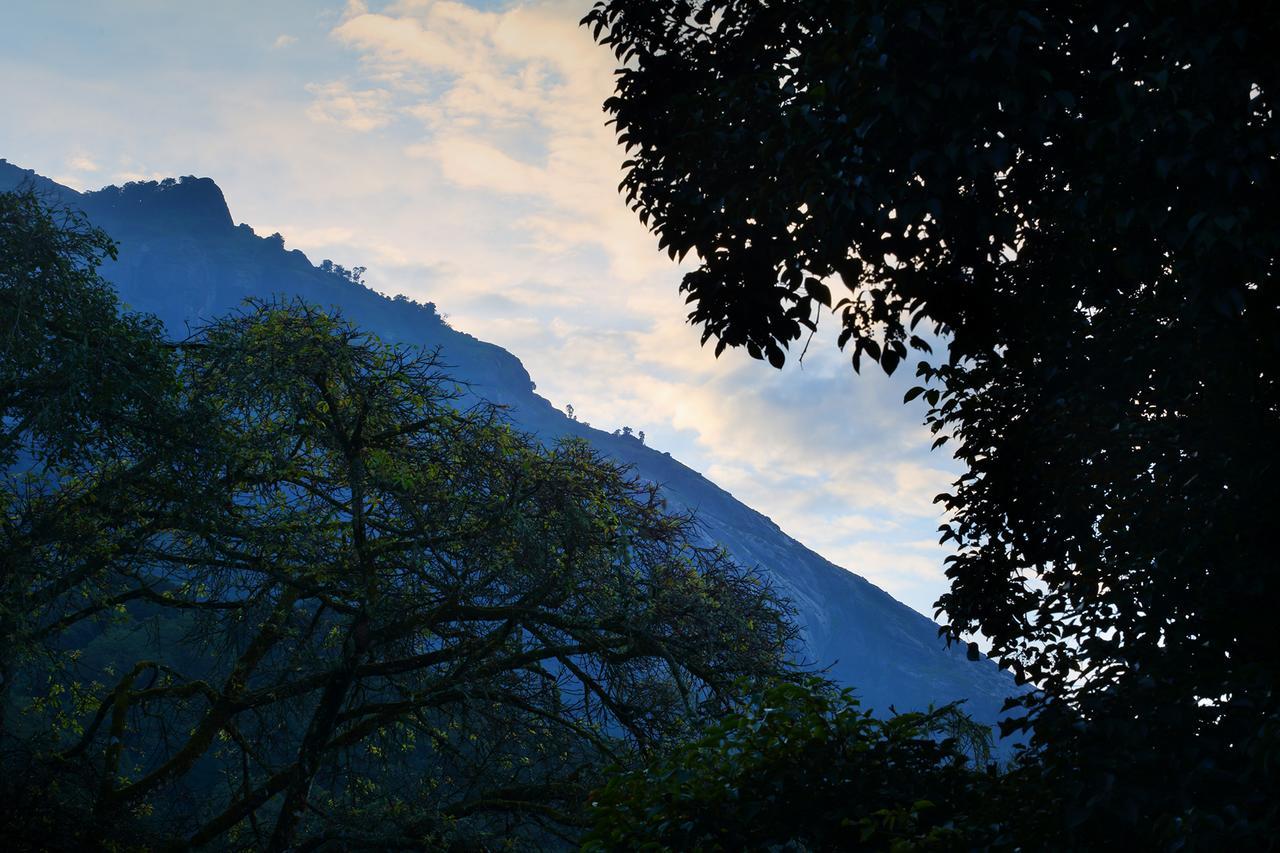 Madhumanthra Resort - Homestay Munnar Exteriör bild