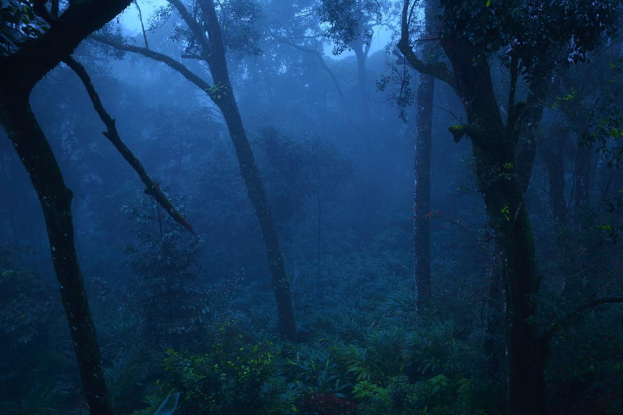 Madhumanthra Resort - Homestay Munnar Exteriör bild