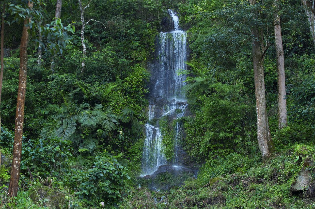 Madhumanthra Resort - Homestay Munnar Exteriör bild