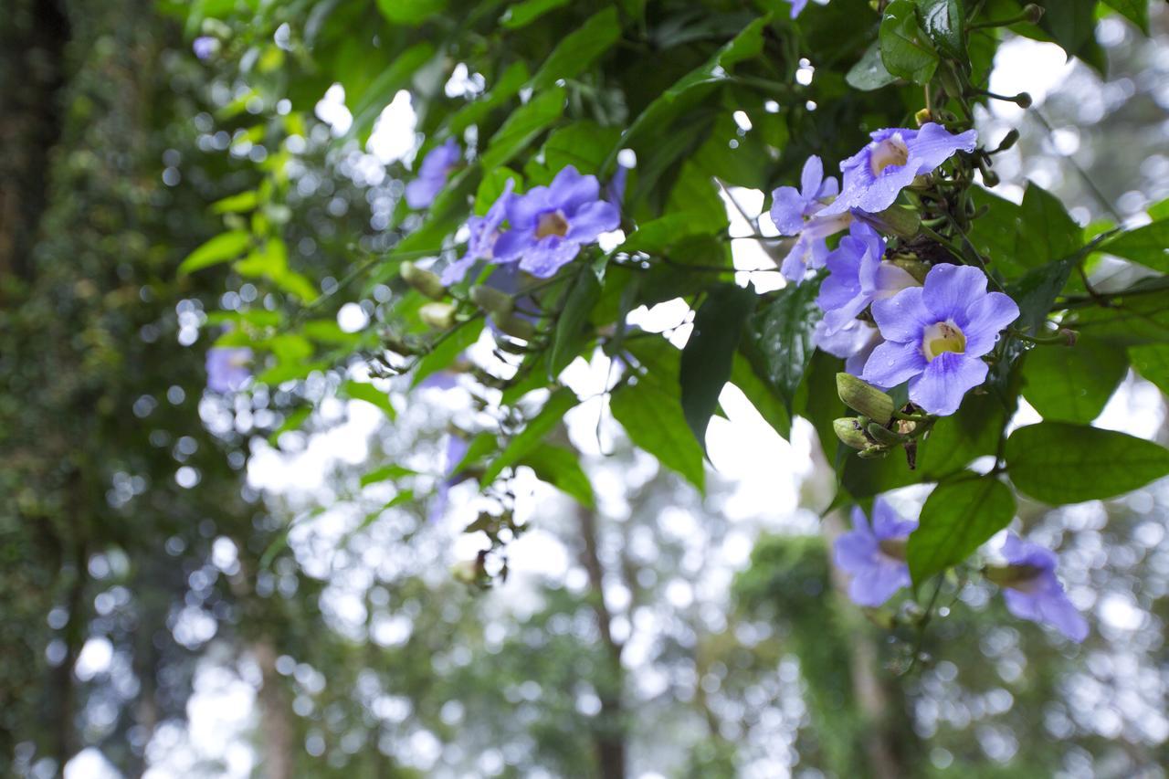 Madhumanthra Resort - Homestay Munnar Exteriör bild